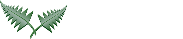 Ferndale Community School