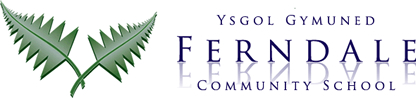 Ferndale Community School